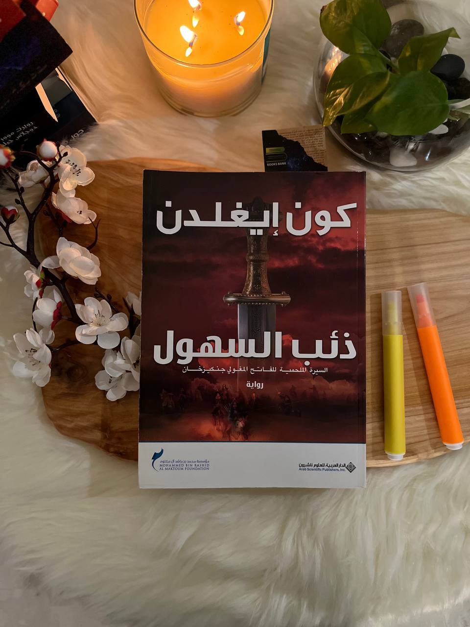 ذئب السهول